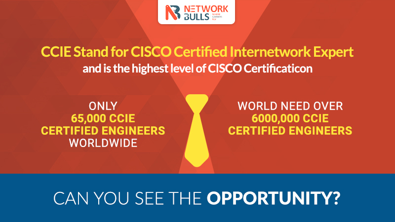 Can you se the opportunity in CCIE certification in IT networking 
