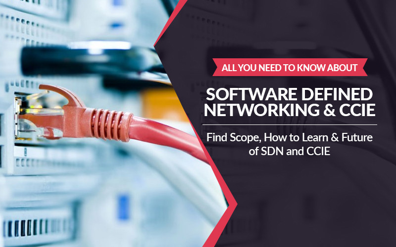 All you need to know about Software Defined Networking (SDN) & CCIE | Find Scope, How to Learn & Future of SDN and CCIE