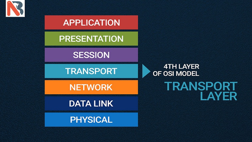 Understanding 4th Layer of OSI Model - Transport Layer