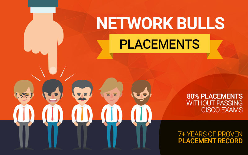 Network Bulls - Placements