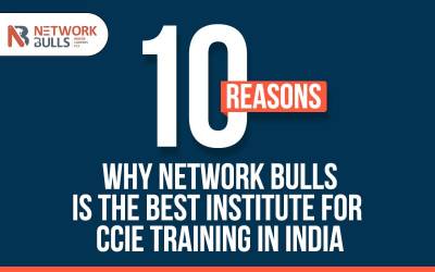 10 Reasons Why Network Bulls is the Best Institute for CCIE Training in India