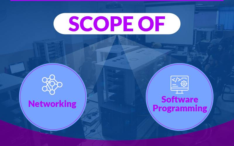 Scope of Networking v/s Software Programming?