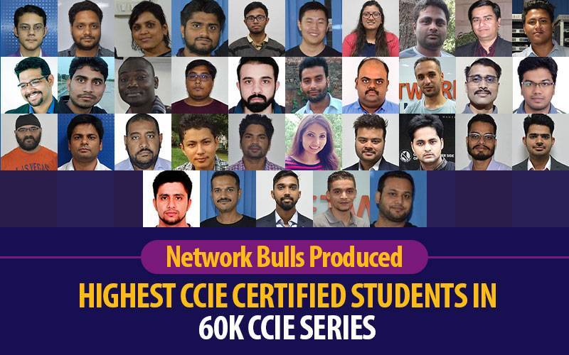 Network Bulls Produced Highest CCIE Certified Students in 60k CCIE Series